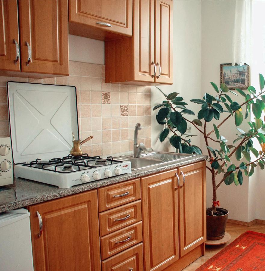 Apartament The Heart Of Lwów Zewnętrze zdjęcie